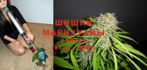МДПВ Нязепетровск