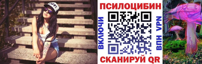 Псилоцибиновые грибы Psilocybe Петушки
